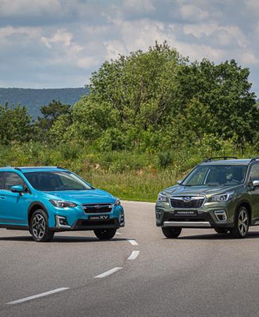 Forester and XV_low-002-23414
